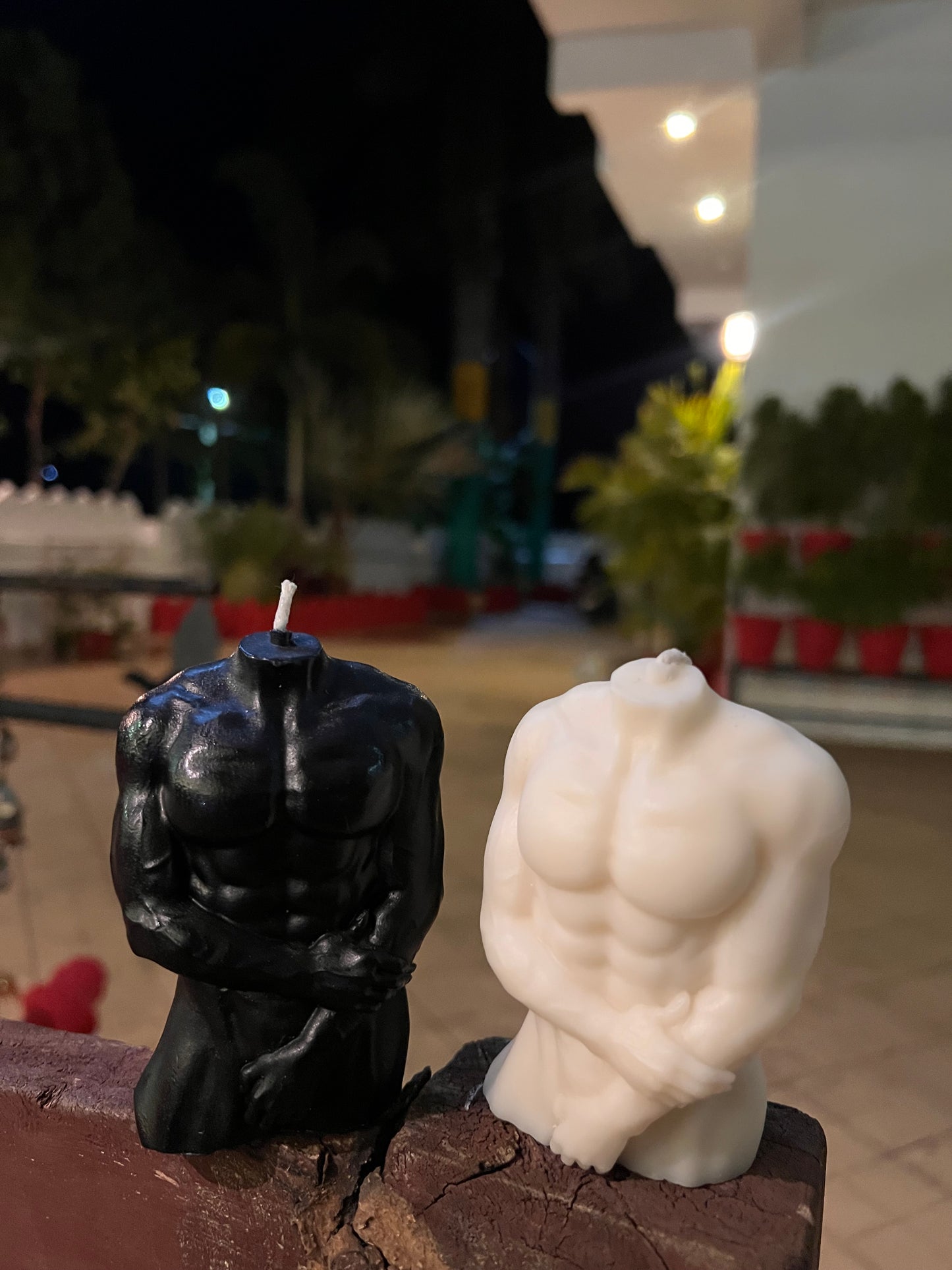 The Torso (Twin pack)