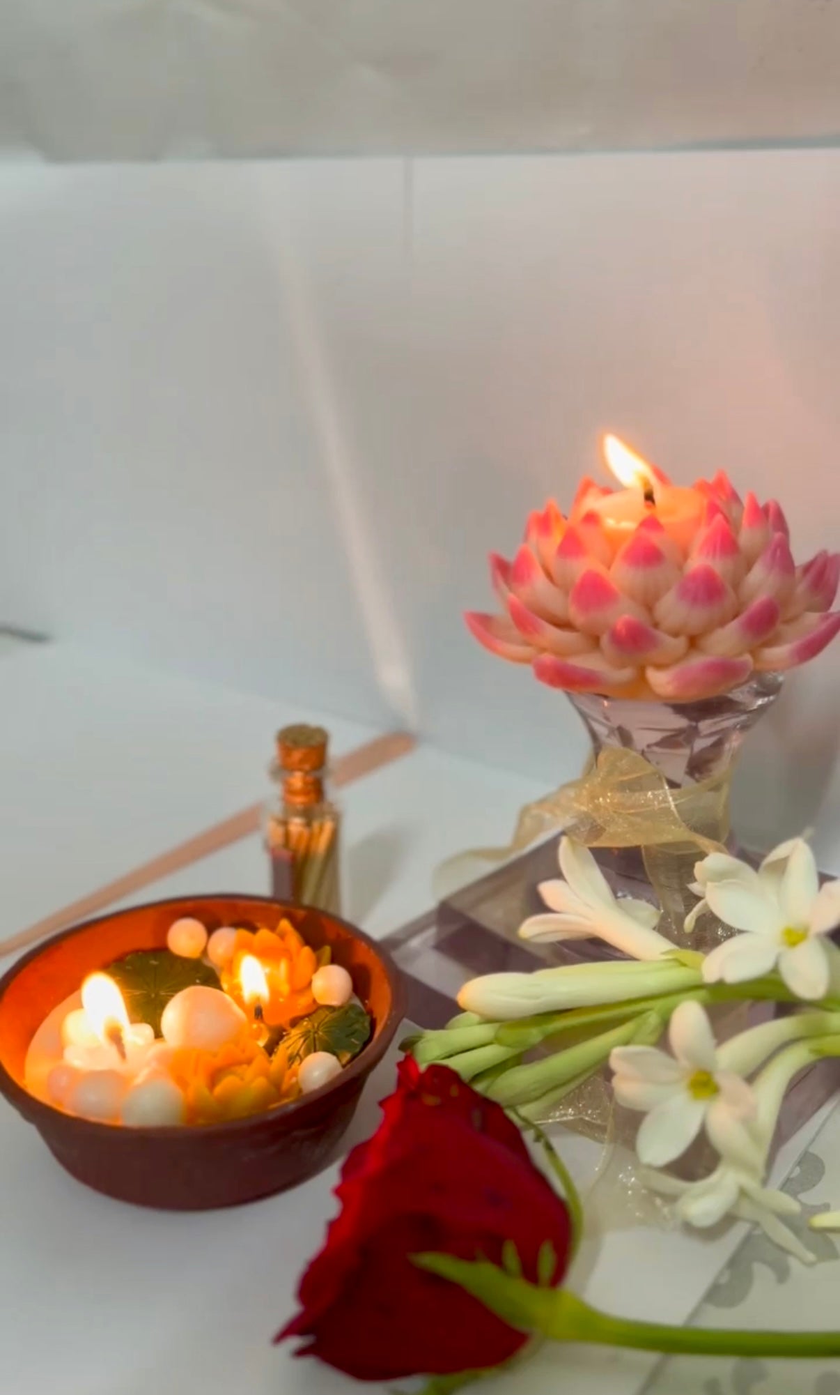 Lotus Pond Glow