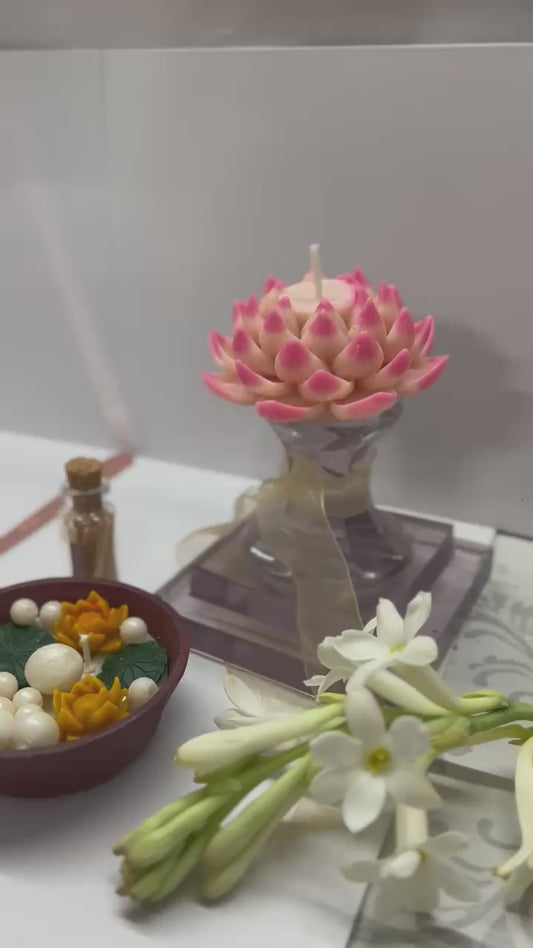 Lotus Pond Glow